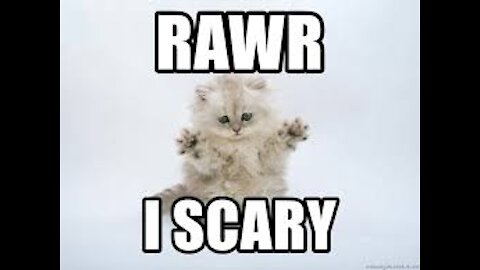 Prepare For Permanent Lockdowns - they Want Us DEead