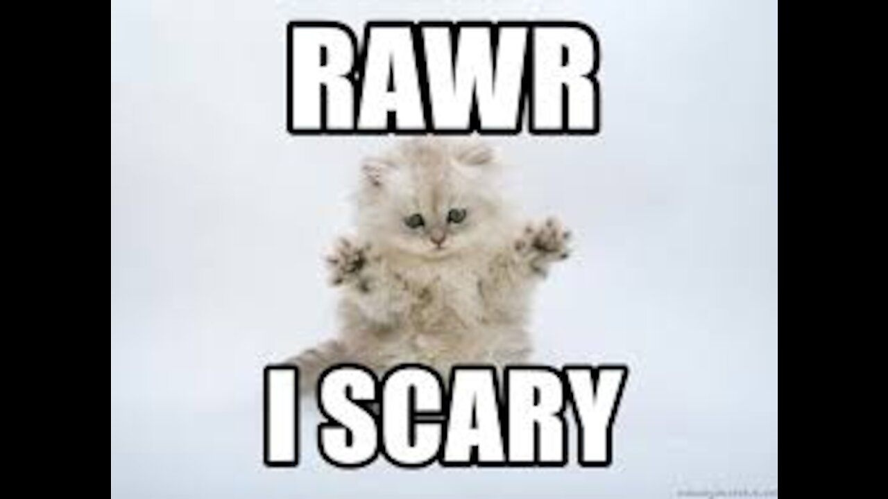 Prepare For Permanent Lockdowns - they Want Us DEead