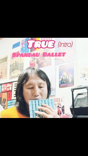 Short cover) True /Spandau ballet [Intro] #short #shorts #spandauballet #true #7080