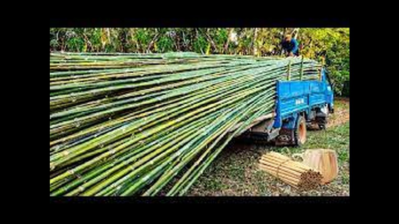 How to Processing Millions Bamboos to Product - Straws, Bamboo Houses, Plywood, Chopstick Factory