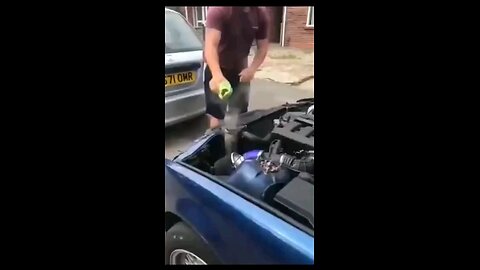 funny videos