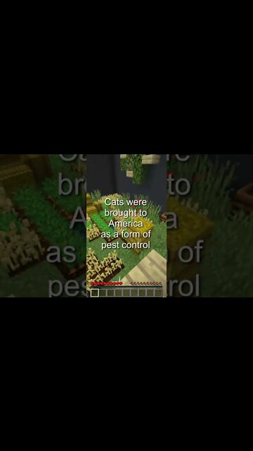 Minecraft Parkour with Crazy Facts #16