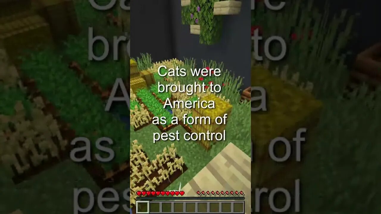 Minecraft Parkour with Crazy Facts #16