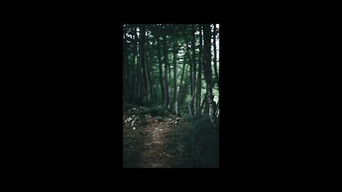 MEDITATION MUSIC, MEDITATION MUSIC FOR HEALING, HEALING MEDITATION, STRESS, RELAXATION, SLEEP MUSIC