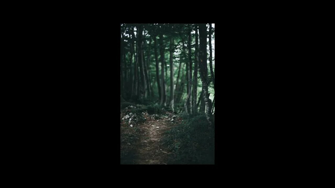 MEDITATION MUSIC, MEDITATION MUSIC FOR HEALING, HEALING MEDITATION, STRESS, RELAXATION, SLEEP MUSIC