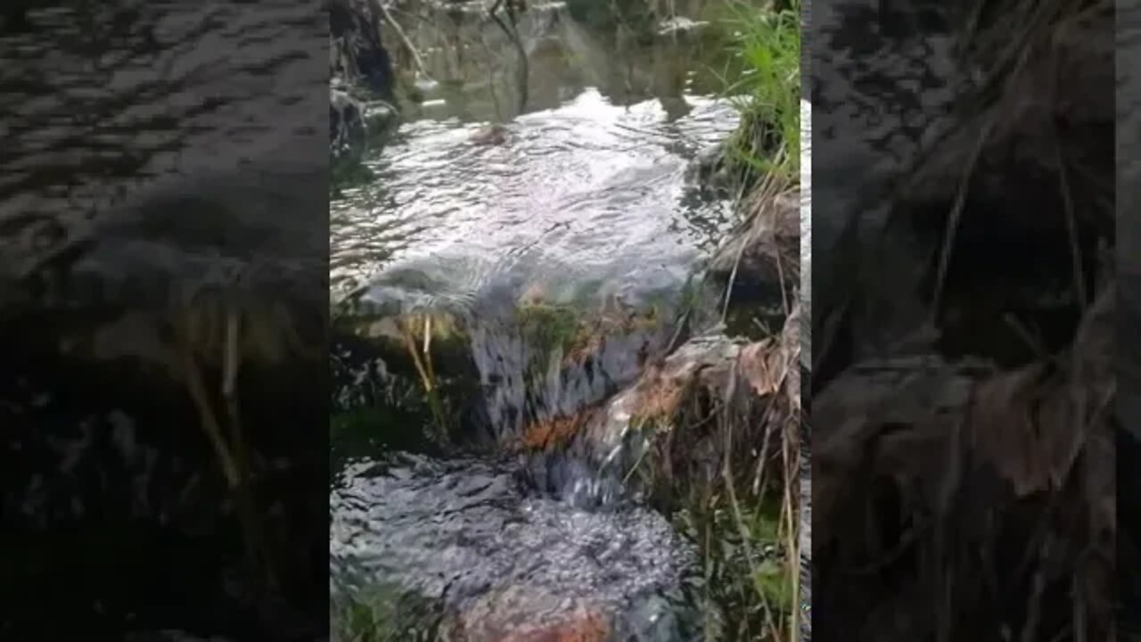 A Hike in Colorado May 2020 (old video)