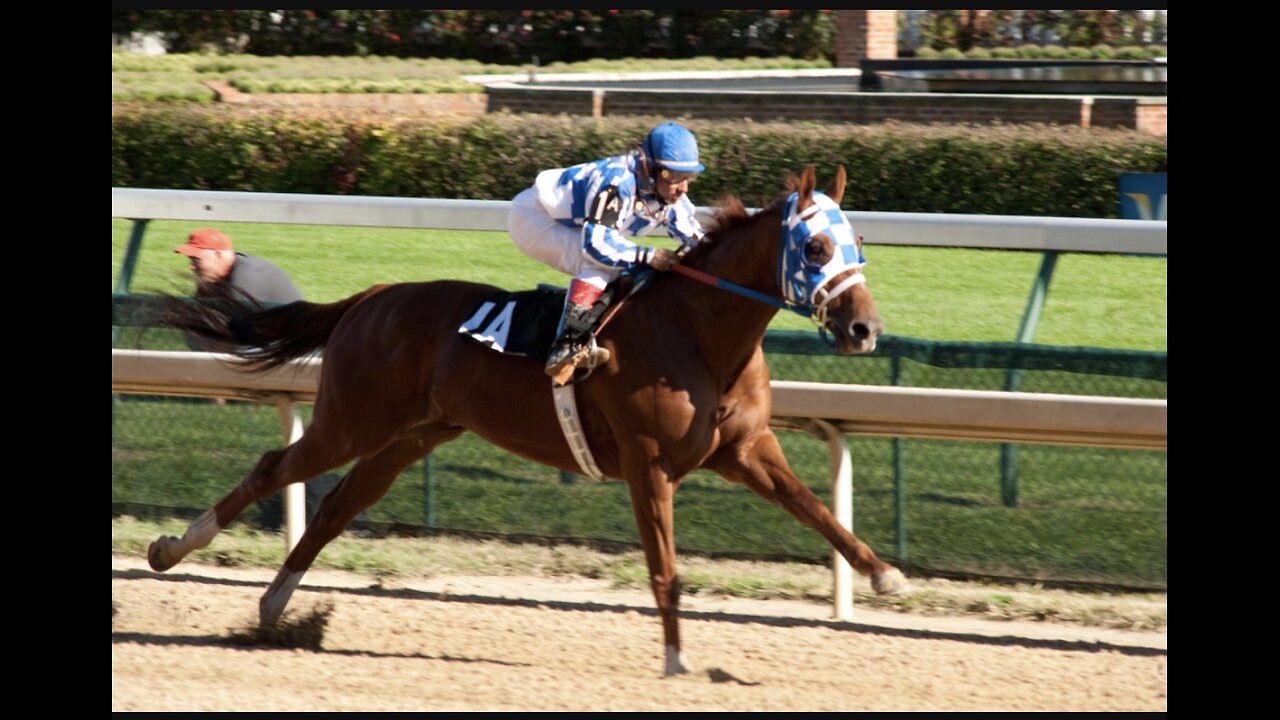 Secretariat (LORD, take me to the outside. Let’s ride!