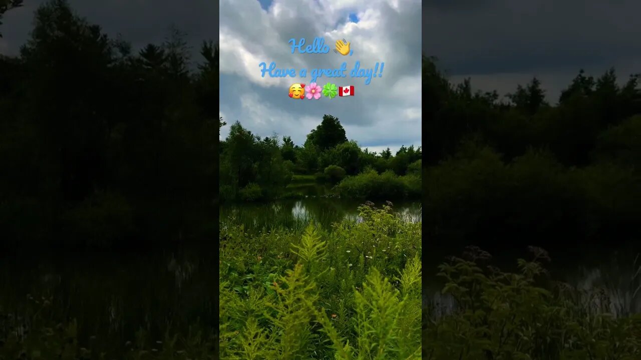 Peaceful pond views | Saigeon Trail Extension, Richmond Hill, ON 🇨🇦