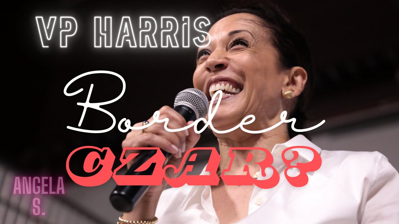 Libs of TikTok Border Czar Kamala Harris Video