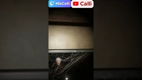 I Was Trying To Get Out