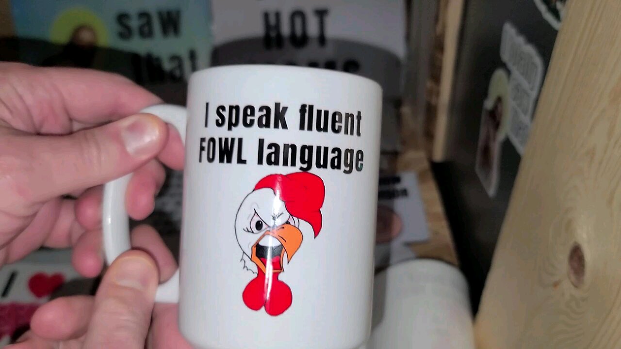 I speak fluent FOWL language mug