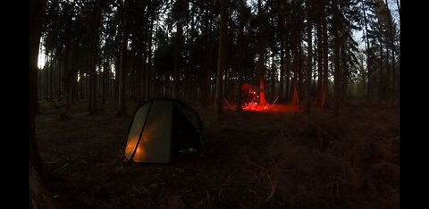 Wildcamping in the woods . Nightlapse GoPro 19th Jan 2023