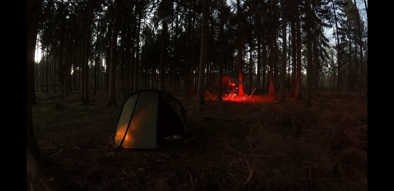 Wildcamping in the woods . Nightlapse GoPro 19th Jan 2023