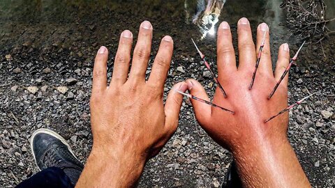 How to Survive a Lionfish Attack