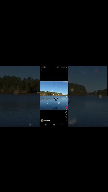 Saia da Prisão. Saia da Caixa. #shortshorts #short #shortvideo #shirt #shirts