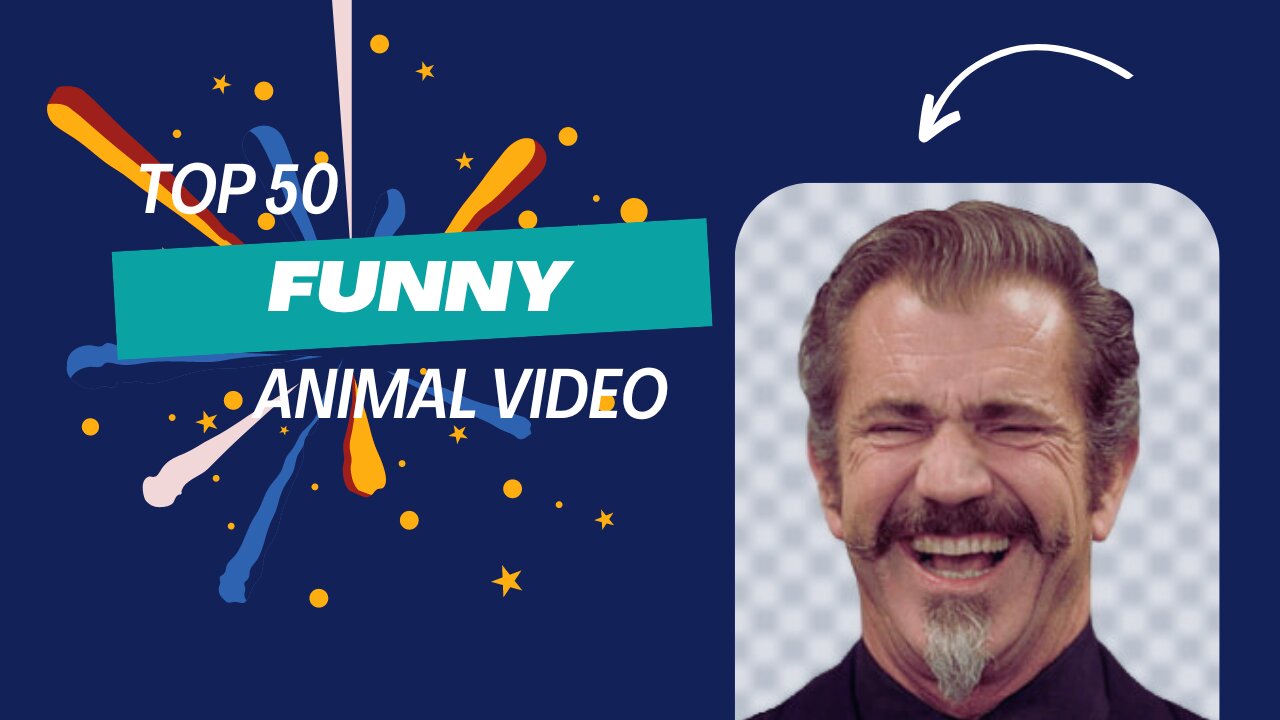 Top 50 funniest 😂 animal videos