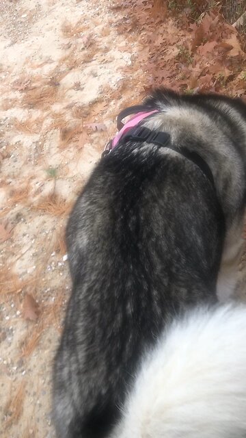 Sunday Nov 3, Then he will send the rains in the proper seasons