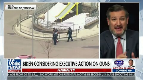 Cruz on Fox News Blasts Democrats’ Radical Proposals To Take Guns From Law Abiding Americans