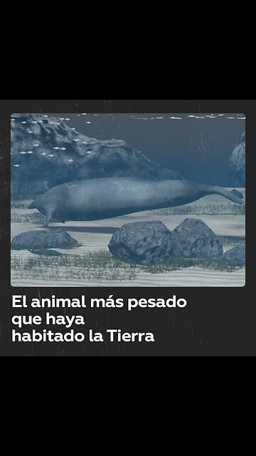 Hallan restos de un animal que destrona a la ballena azul como el más pesado de la historia