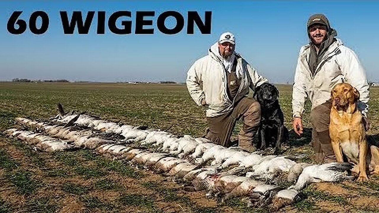 60 DUCKS 52 GEESE 112 BIRD DAY IN THE HEARTLAND!! | DOGSMANIA