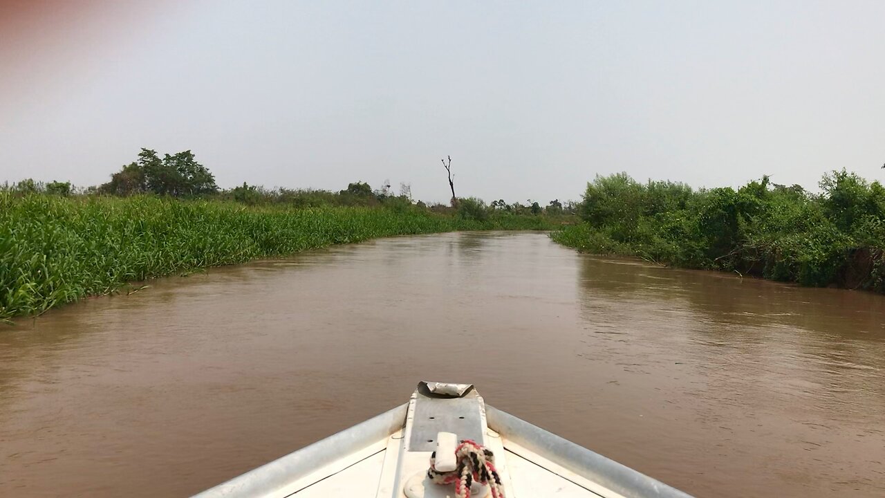 River with a boat - Pantanal (swamp) - Mato Grosso - Brazil