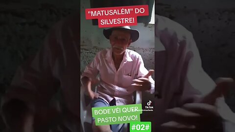 MATUSALÉM DO SILVESTRE #02#