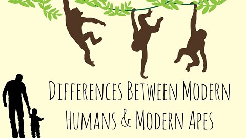 Episode 9 CLIP: Differences Between Modern Humans & Modern Apes