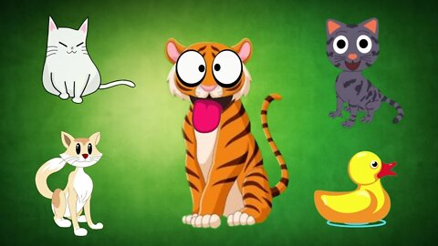 Tiger Cat Funny Video @MK Billu