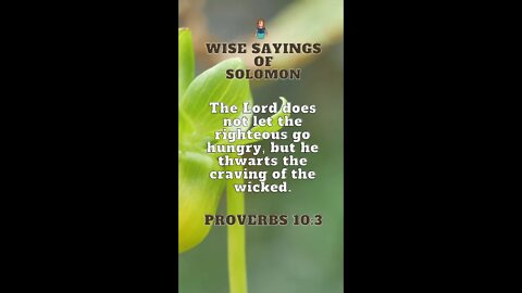 Proverbs 10:3 | Wise Sayings of Solomon