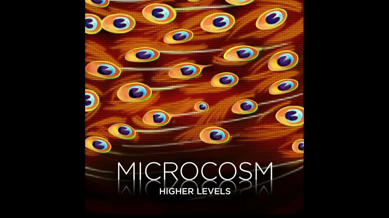 Microcosm - Spacey Kebab