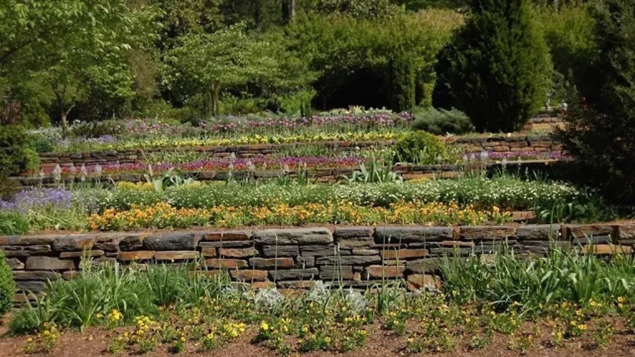 Terrace garden beginnings