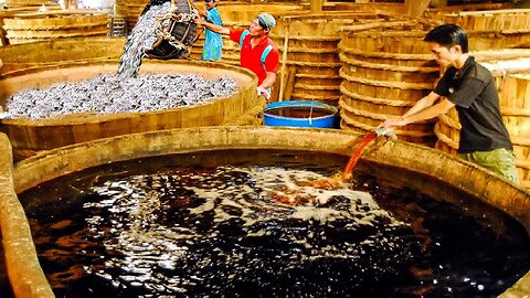 Process Millions Fish to make Fish Oil, Fishmeal,Fish Sauce - Fish Oil Production Process in Factory