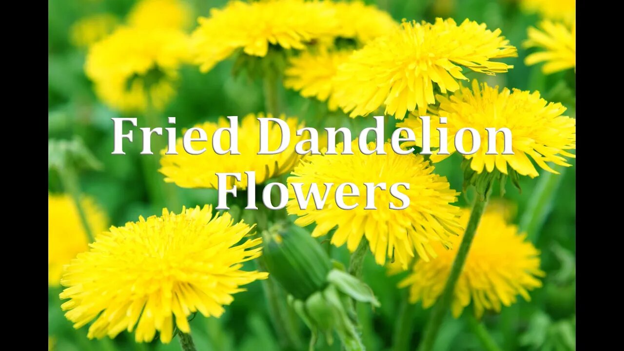 Fried Dandelion Flowers