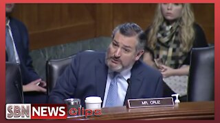 Ted Cruz Confronts 'Radical' Biden Nominee With His Own Past Statements - 5355