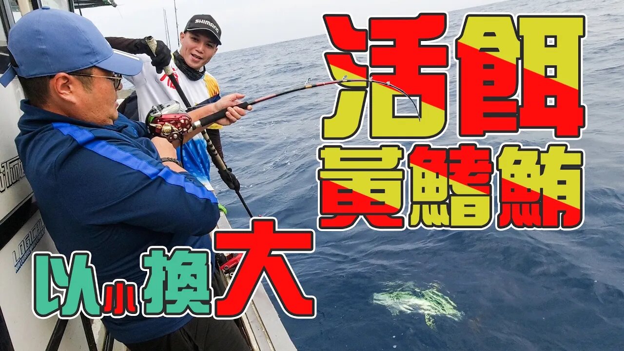 【台客去船釣】釣咪咪鮪換大鮪！這就是活餌黃鰭鮪魚釣法！feat.野雁18號娛樂海釣船