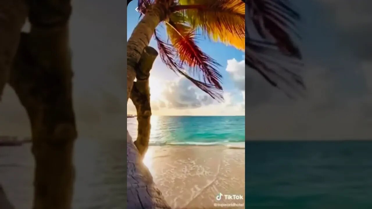 ۲۷ اوت ۲۰۲۲