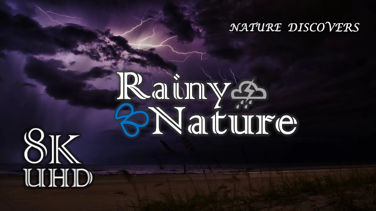 Rainy Nature🌈💦|| Relaxing Music ♬🎶|| Rainy Day's Vibe's || Nature Discovery || 8K UHD Quality