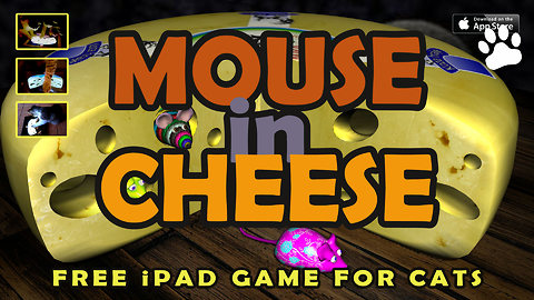 Mouse in Cheese - free iPad game for cats