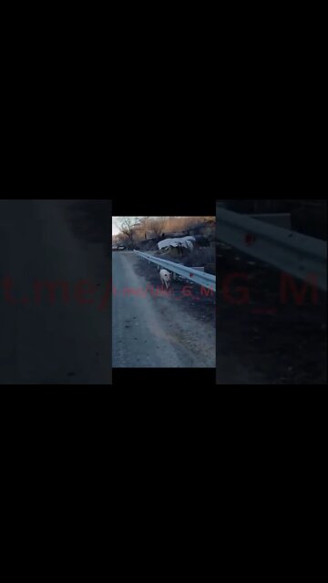 First The Swineherds Wanted To Eat The Pig, They Quickly Fled When It Reached For An Anti-Tank Mine🤣