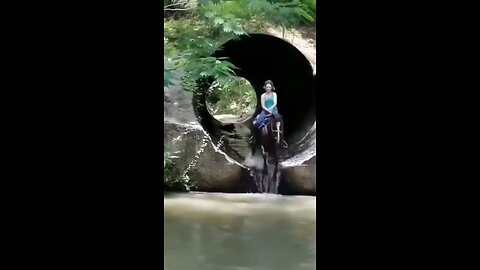 funny clips