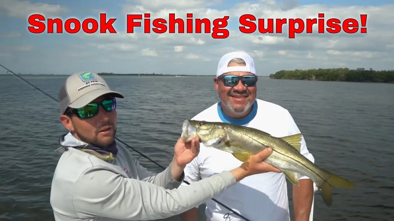 Pier Fisherman Catches FREE FISHING TRIP with Tampa Bay Guide!!Pt.2
