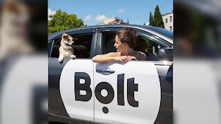 WATCH: Bolt secures €100-million investment to grow services across Europe and Africa (cWj)