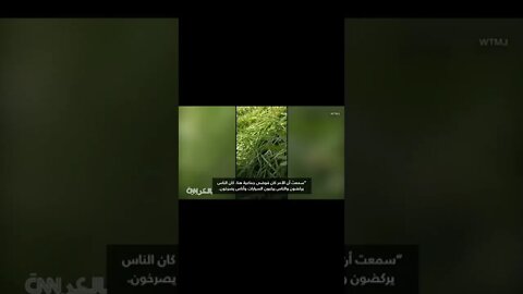 gun fire attack #american إطلاق نار أثناء جنازة في أمريكا