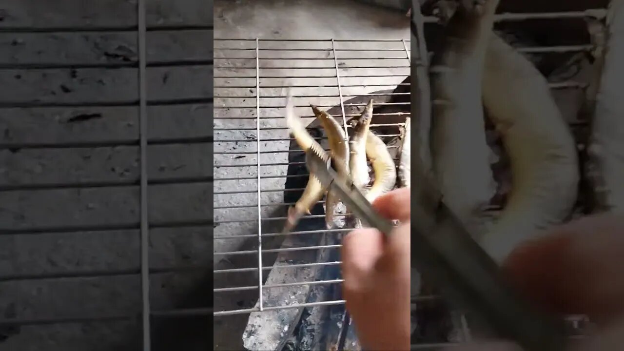 ត្រីឆ្លូញអាំង