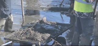 Digging out the sludge, Rawhide Channel gets cleaned out