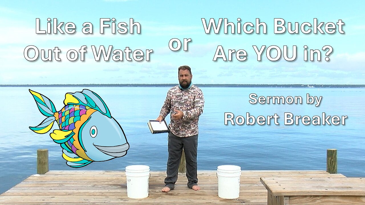 Like a Fish Out of Water or Which Bucket are YOU in?