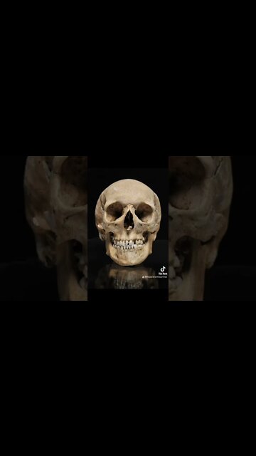 Skulls and CrossBones