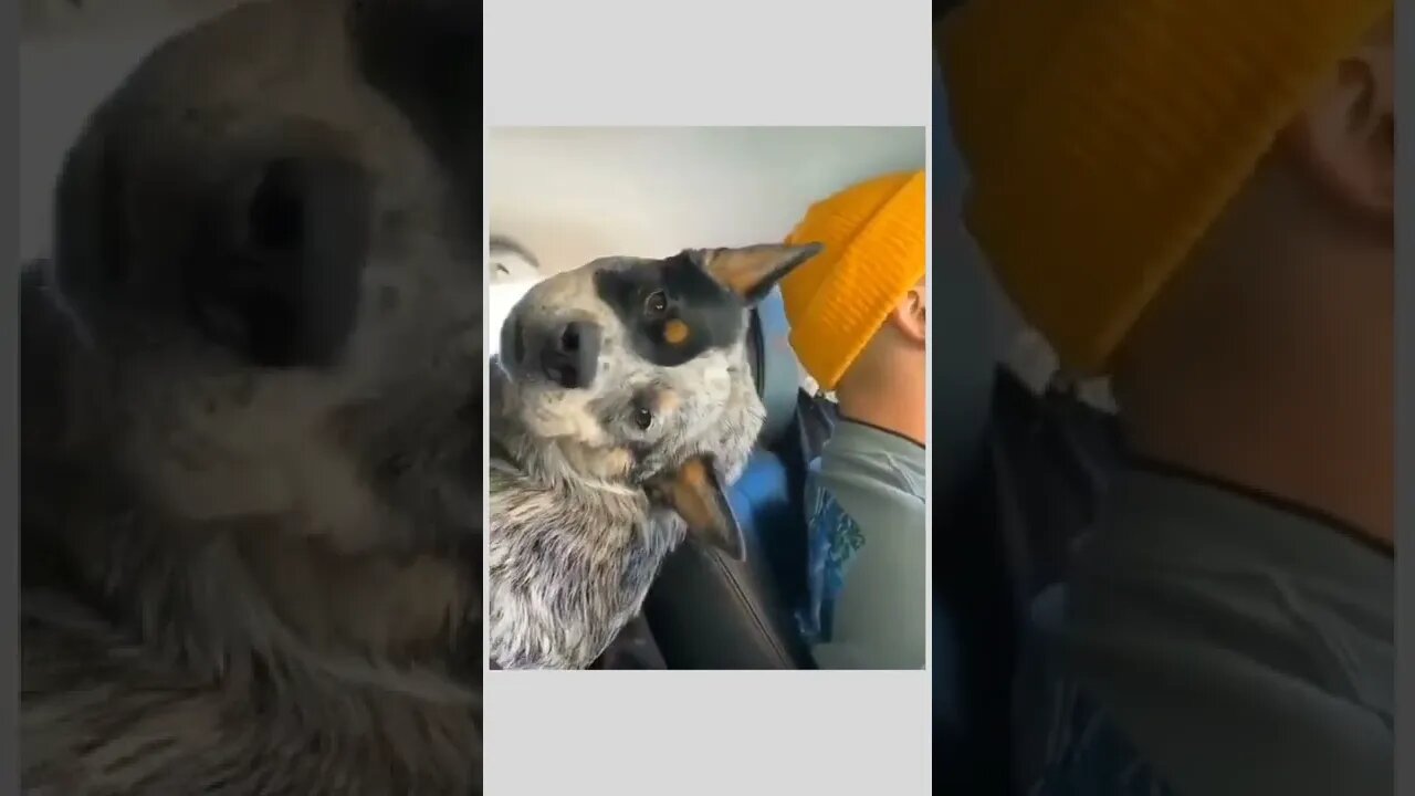 Adorable😂😍😍😍