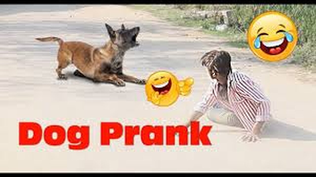 Funny prank with dongs😂🤣