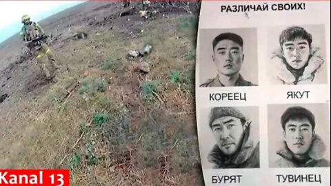 First video of killed North Korean soldiers at frontline: Ukrainian army shows footage from Selidovo